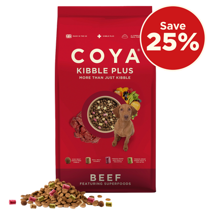 Croquettes COYA au bœuf pour adultes Plus