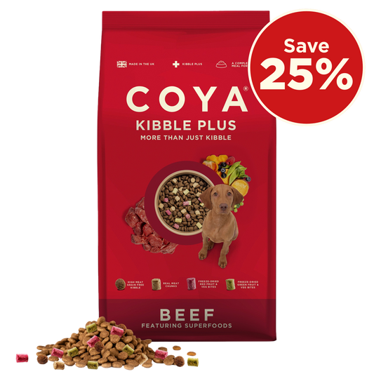 COYA Beef Adult Kibble Plus