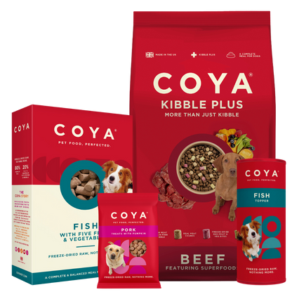 Best Barking Behaviour Bundle