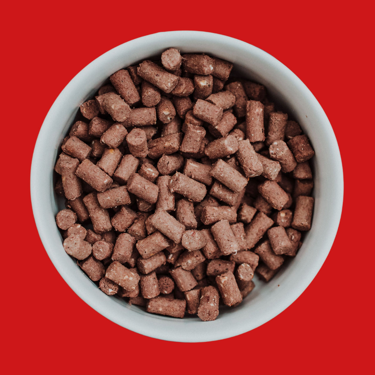 COYA Beef Freeze-Dried Bowl