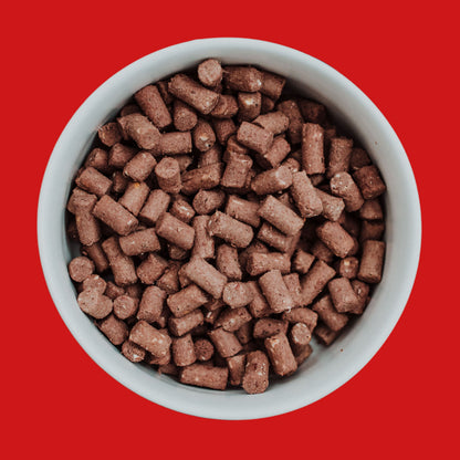 COYA Beef Freeze-Dried Bowl