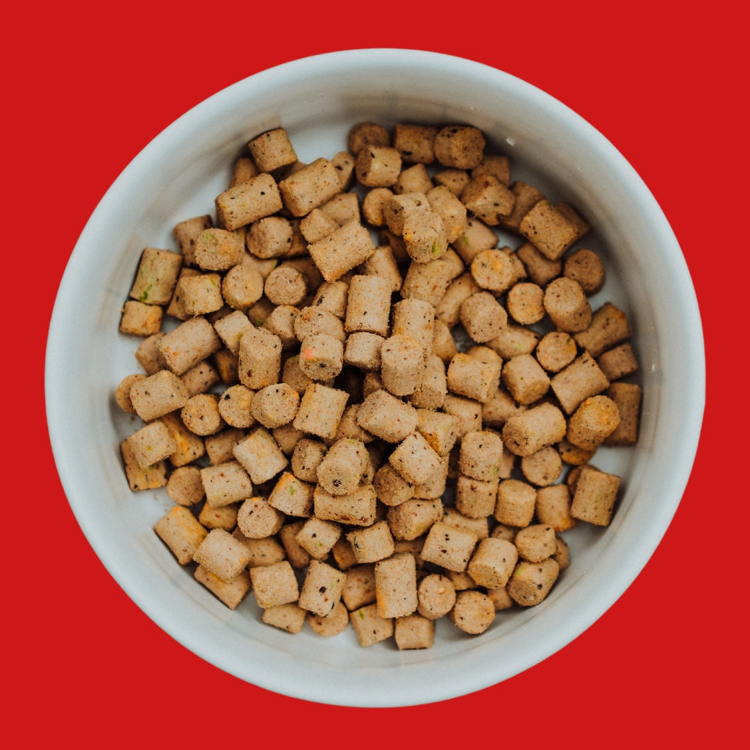COYA Fish Freeze-Dried Food Bowl