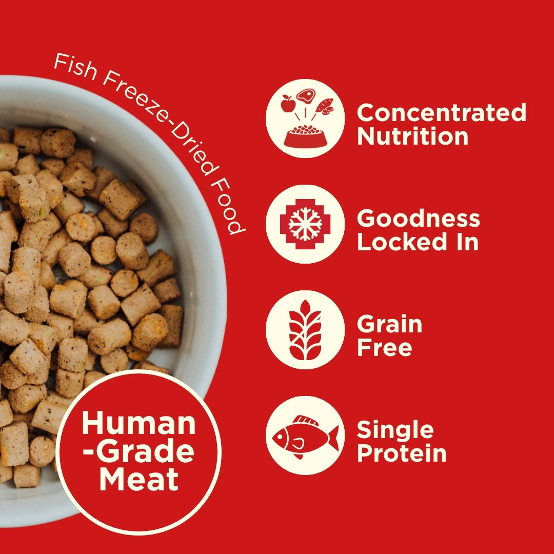 COYA Fish Freeze-Dried Food Functional Benefits