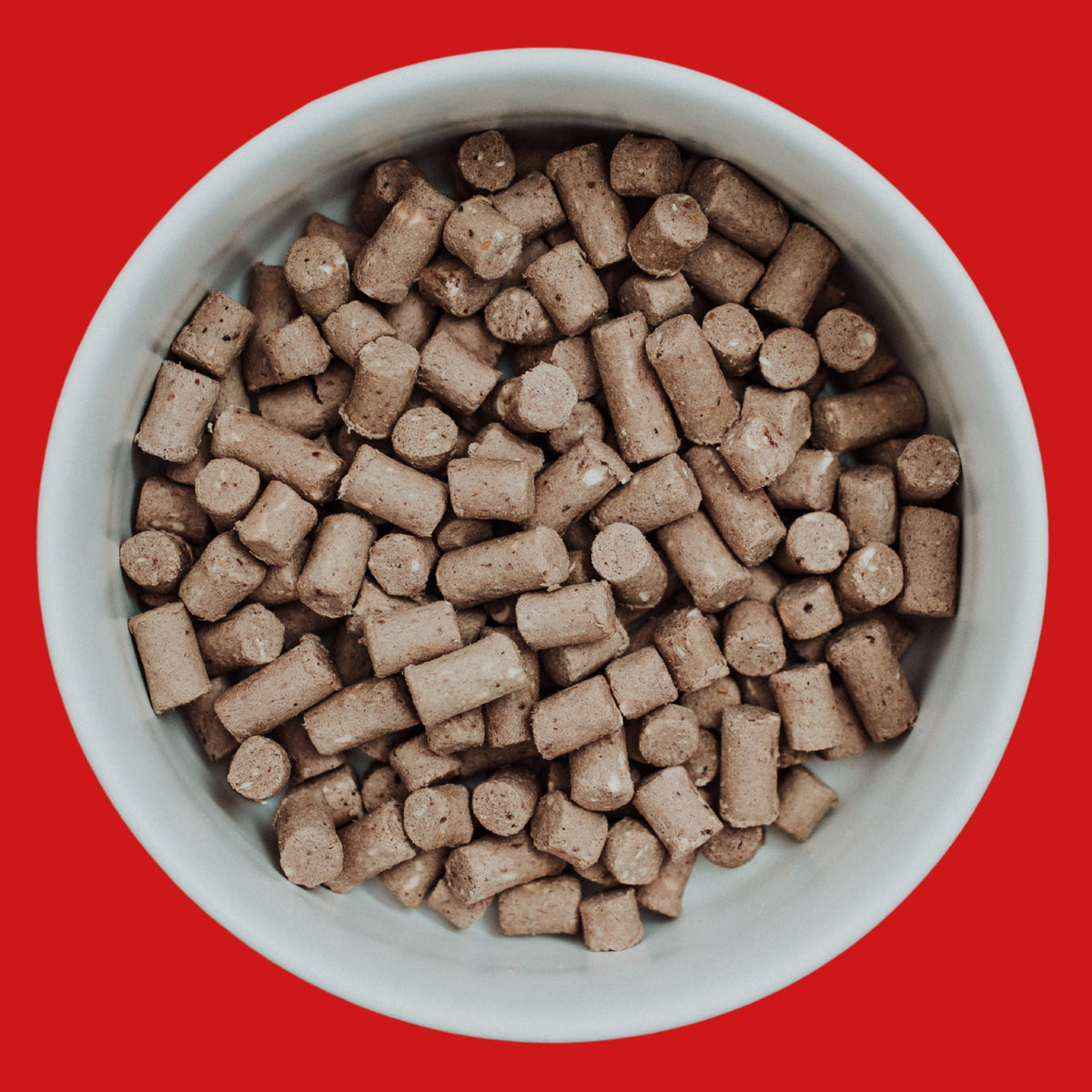 COYA Pork Freeze-Dried Food Bowl