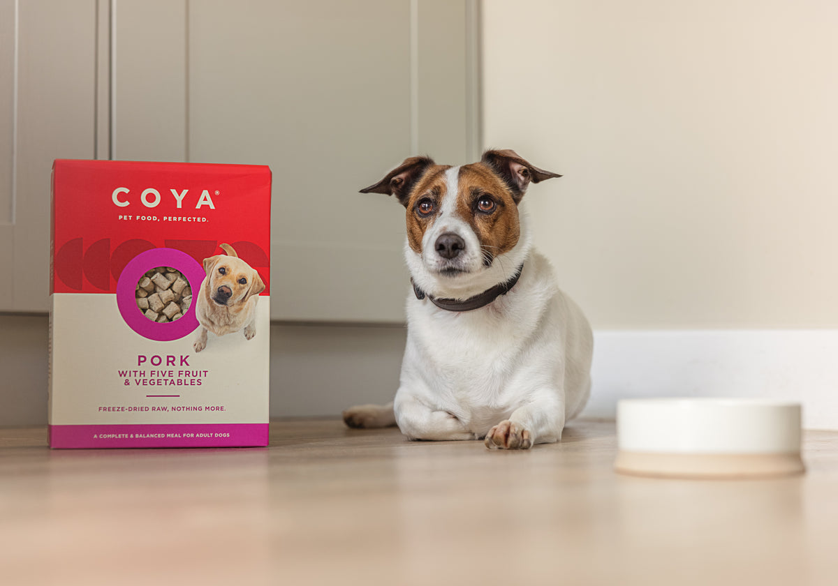 COYA Pork Freeze-Dried Food Lifestyle